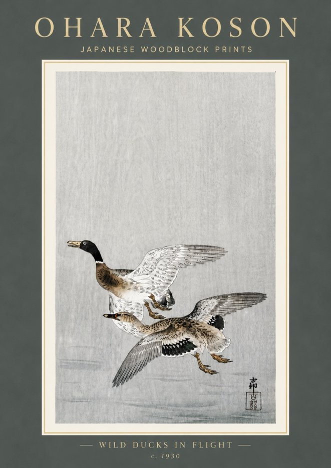 Ohara Koson Wild Ducks in Flight No6 - Poszter