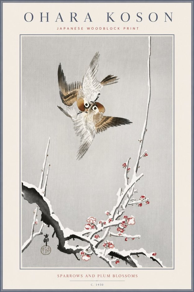 Ohara Koson Sparrows and Plum Blossoms No6 - Poszter