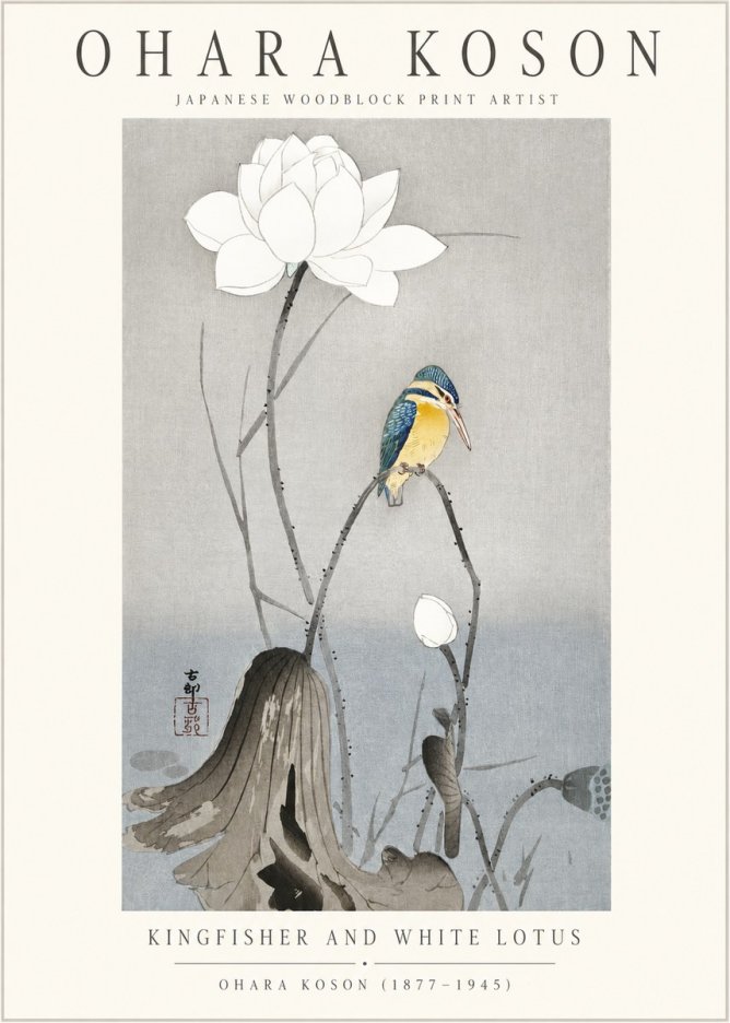 Ohara Koson Kingfisher and White Lotus No1 - Poszter