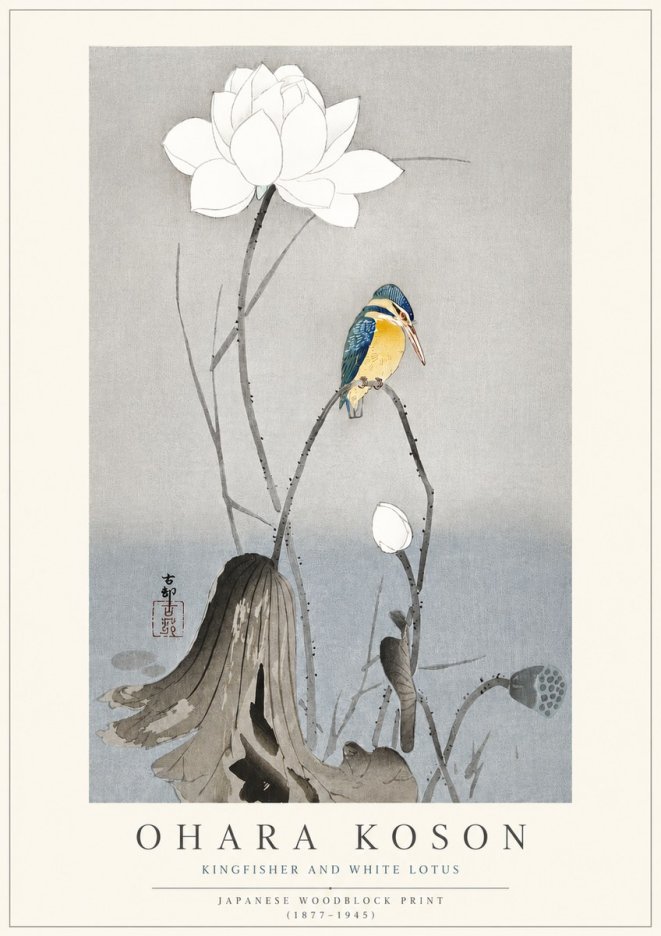 Ohara Koson Kingfisher and White Lotus No3 - Poszter