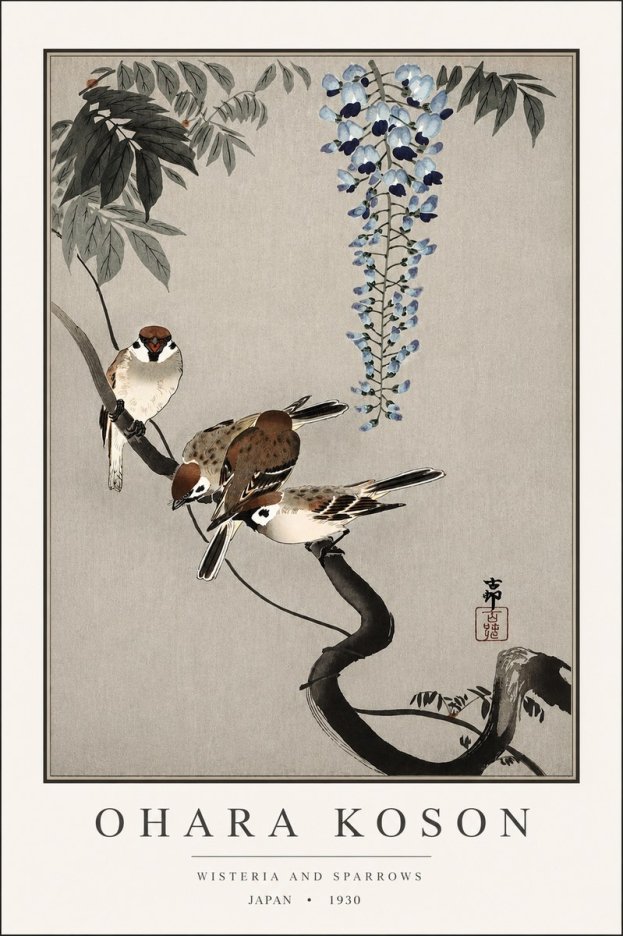 Ohara Koson Wisteria and Sparrows No3 - Poszter