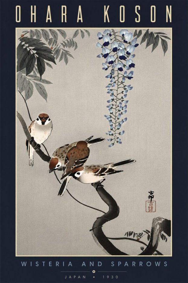 Ohara Koson Wisteria and Sparrows No6 - Poszter