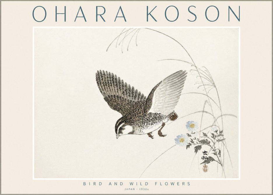 Ohara Koson Bird and Wild Flowers No2 - Poszter