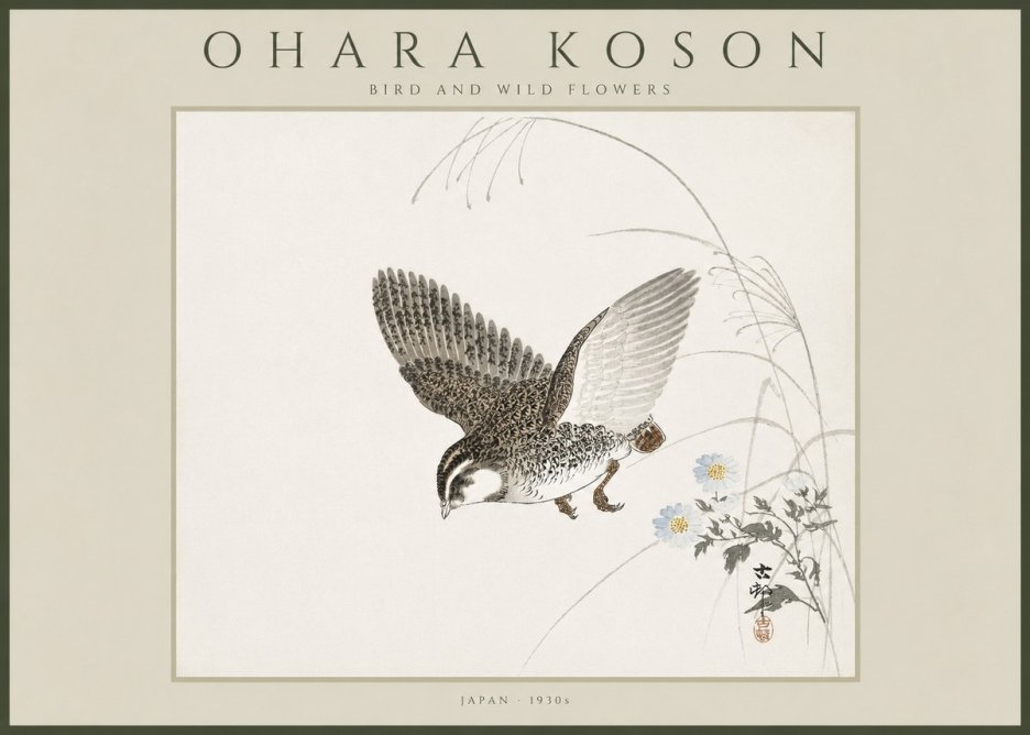 Ohara Koson Bird and Wild Flowers No4 - Poszter