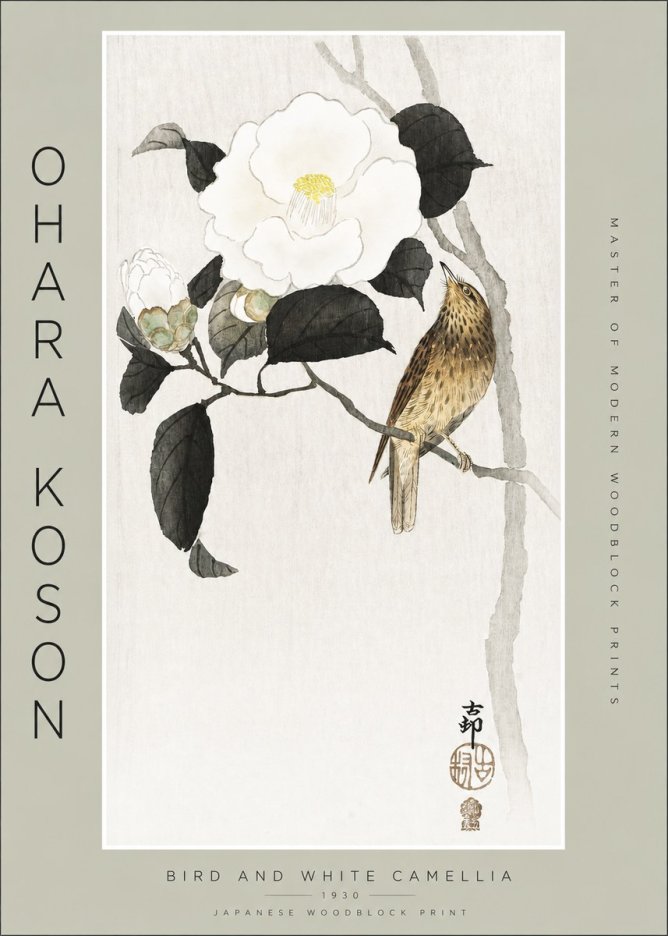 Ohara Koson Bird and White Camellia No2 - Poszter