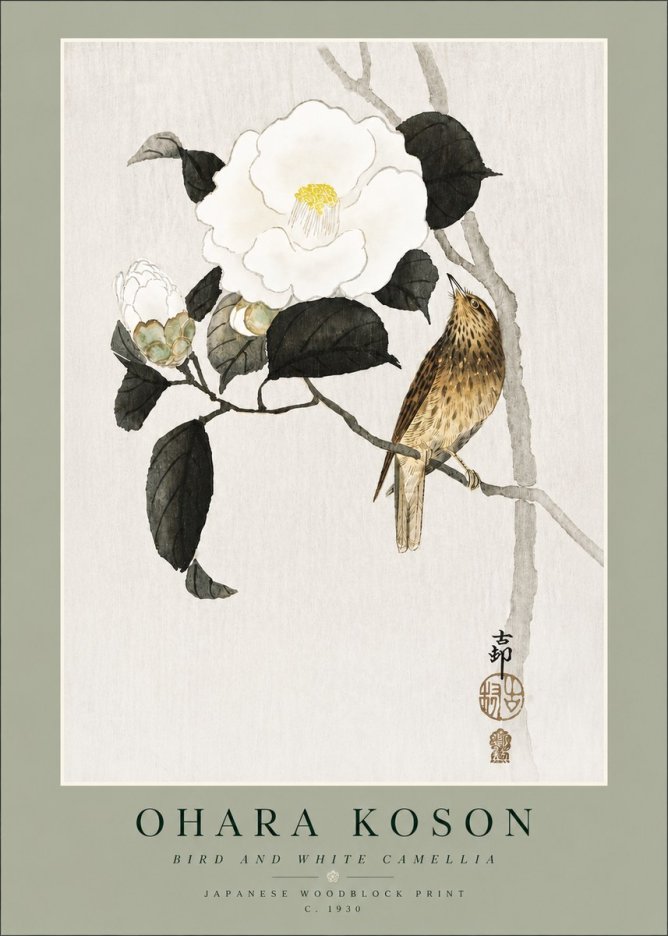 Ohara Koson Bird and White Camellia No4 - Poszter