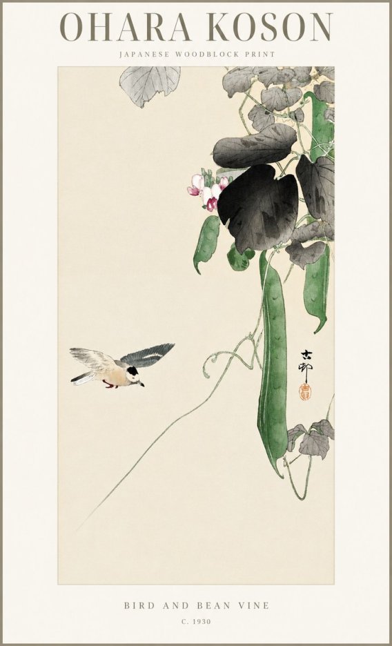 Ohara Koson Bird and Bean Vine No1 - Poszter