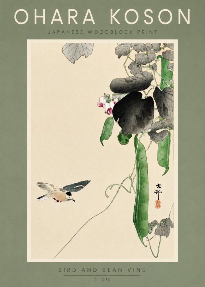 Ohara Koson Bird and Bean Vine No2 - Poszter