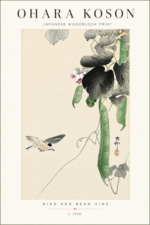 Ohara Koson Bird and Bean Vine No4 - Poszter