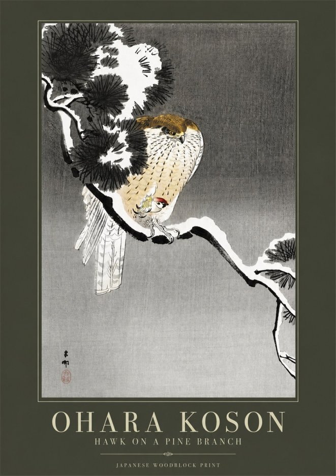 Ohara Koson Hawk on a Pine Branch No2 - Poszter