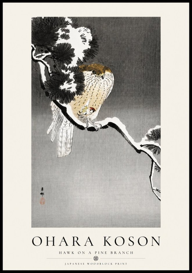 Ohara Koson Hawk on a Pine Branch No4 - Poszter
