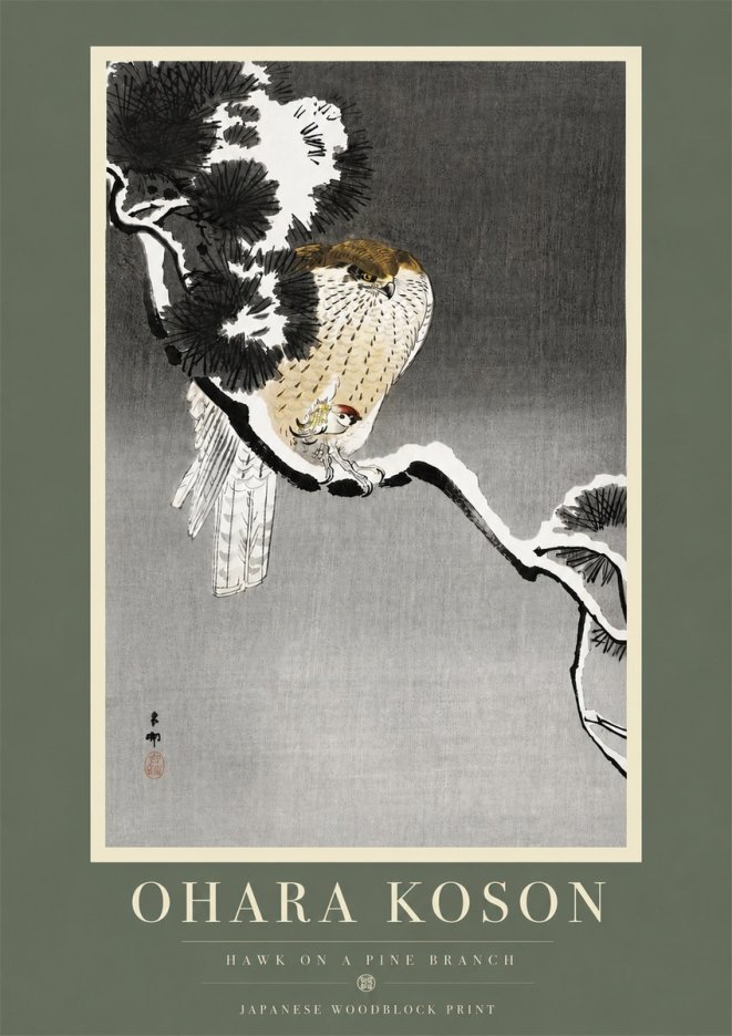Ohara Koson Hawk on a Pine Branch No5 - Poszter