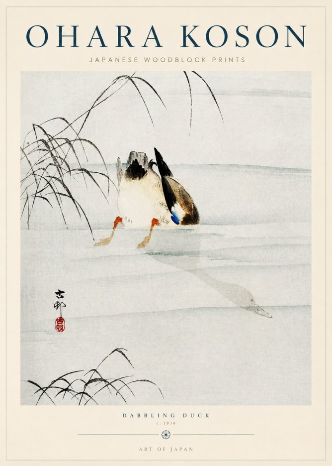 Ohara Koson Dabbling Duck No3 - Poszter