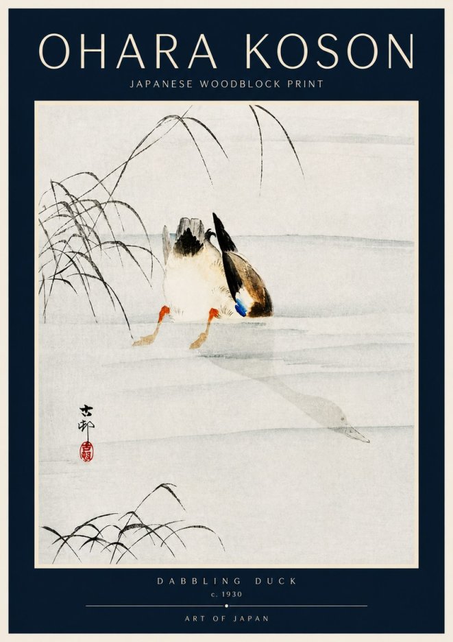 Ohara Koson Dabbling Duck No4 - Poszter