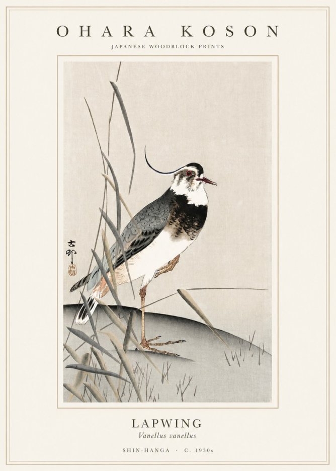 Ohara Koson Lapwing No1 - Poszter