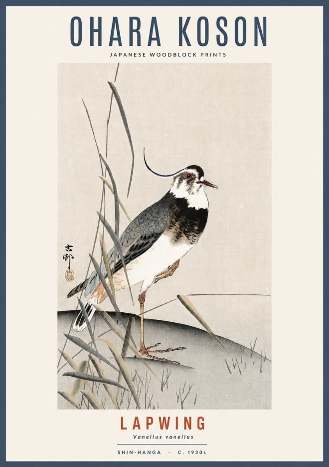 Ohara Koson Lapwing No2 - Poszter
