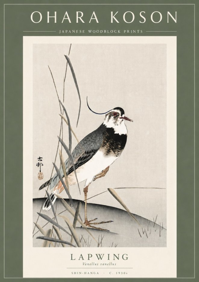 Ohara Koson Lapwing No3 - Poszter