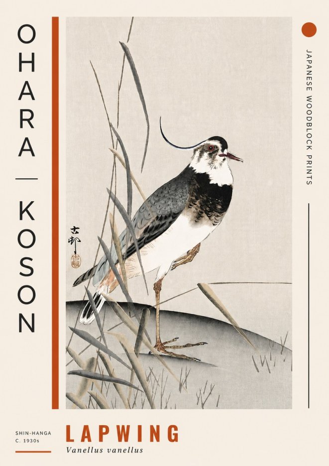 Ohara Koson Lapwing No4 - Poszter