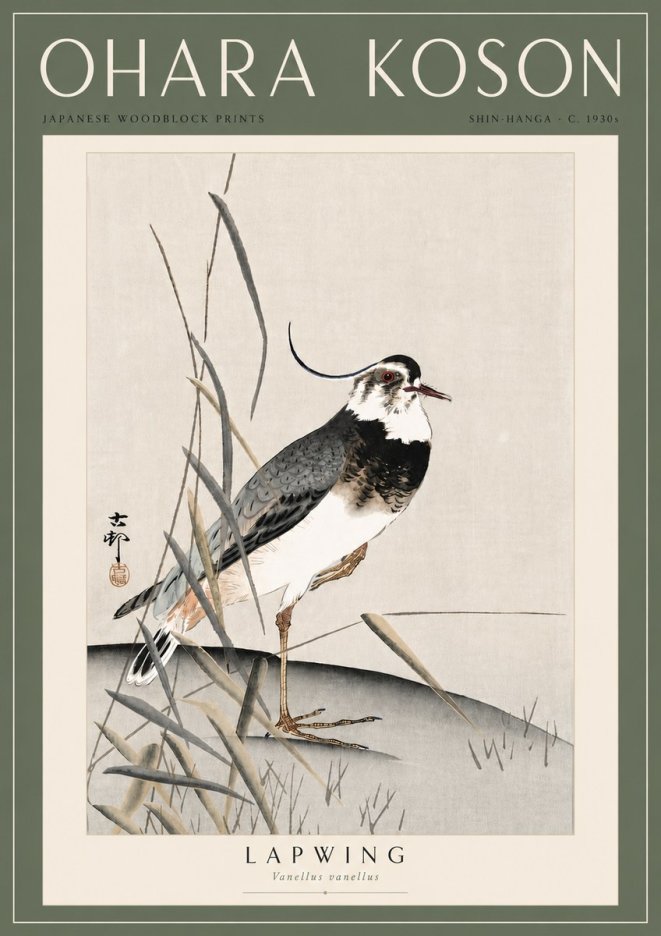 Ohara Koson Lapwing No6 - Poszter