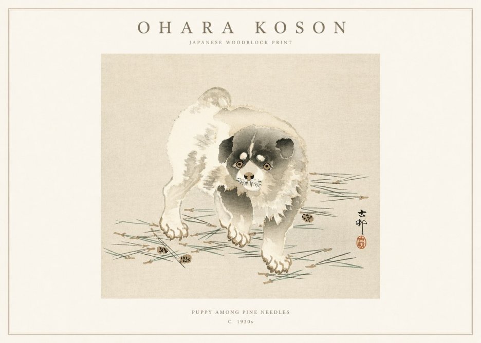Ohara Koson Puppy Among Pine Needles No1 - Poszter