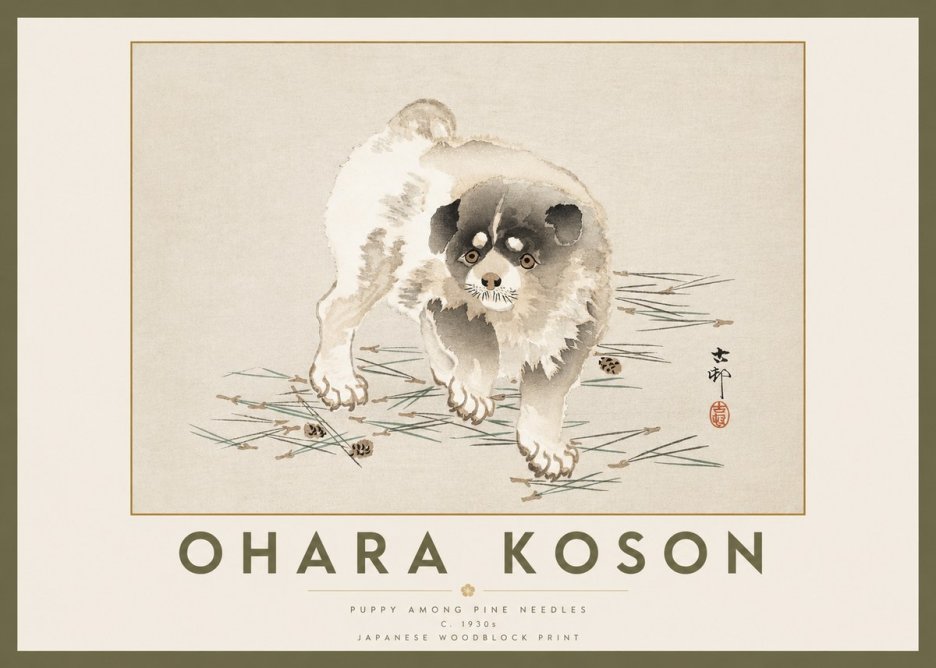 Ohara Koson Puppy Among Pine Needles No2 - Poszter