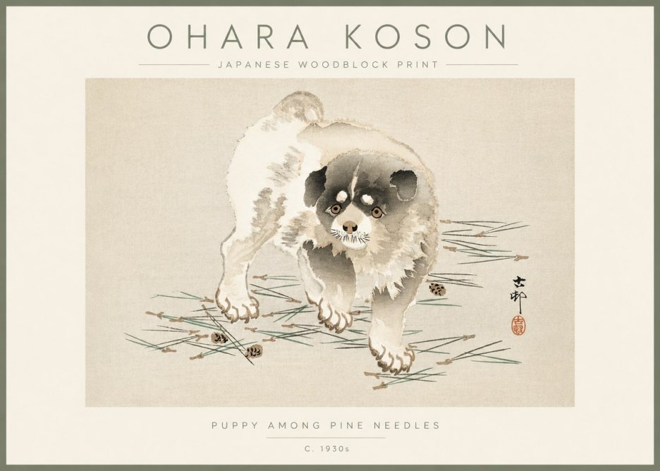 Ohara Koson Puppy Among Pine Needles No3 - Poszter