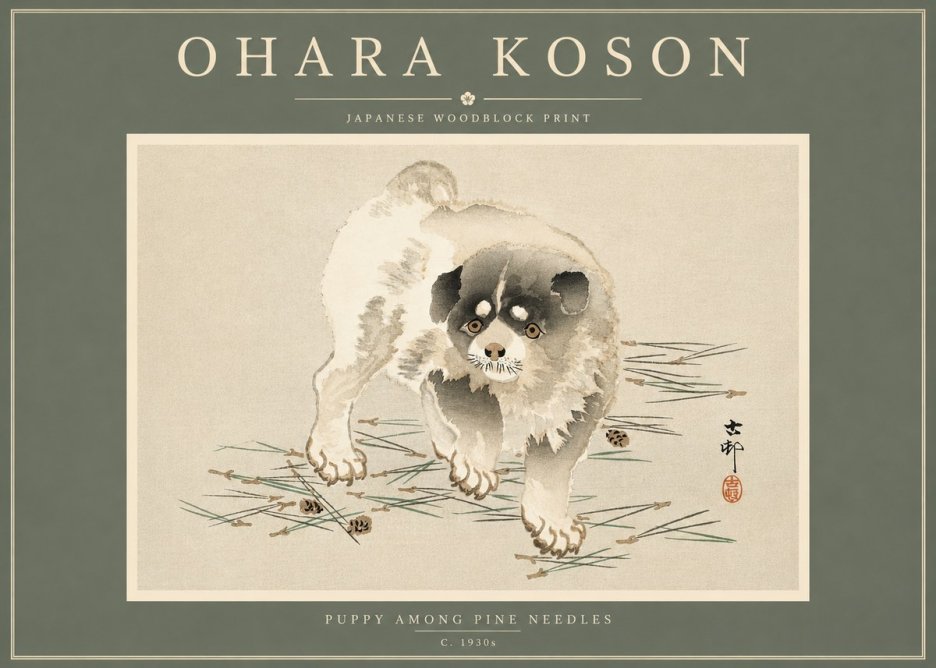 Ohara Koson Puppy Among Pine Needles No4 - Poszter
