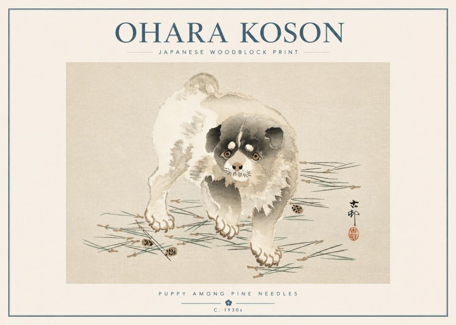 Ohara Koson Puppy Among Pine Needles No5 - Poszter