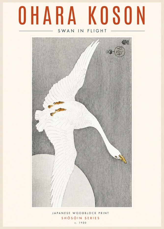 Ohara Koson Swan in Flight No4 - Poszter