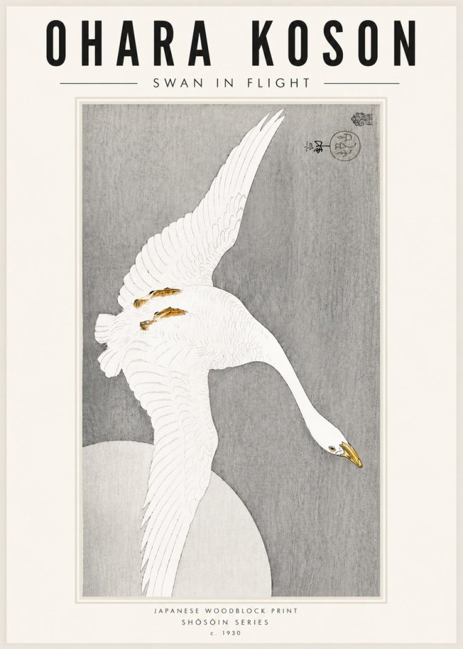 Ohara Koson Swan in Flight No5 - Poszter