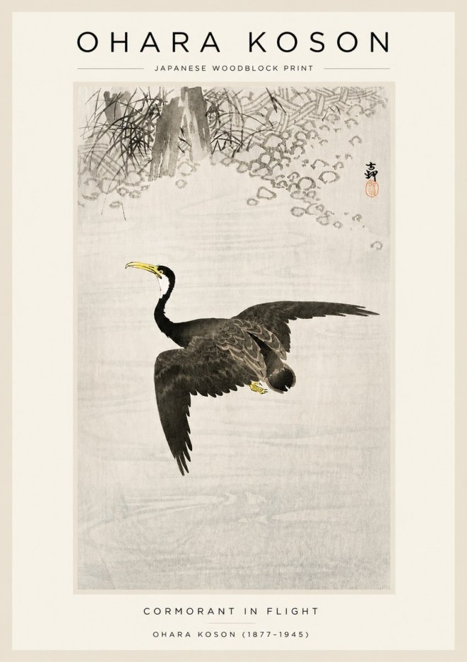 Ohara Koson Cormorant in Flight No3 - Poszter