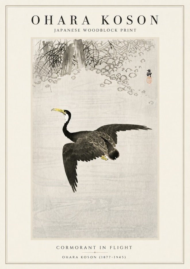 Ohara Koson Cormorant in Flight No5 - Poszter