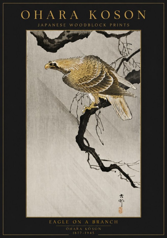 Ohara Koson Eagle on a Branch II No6 - Poszter