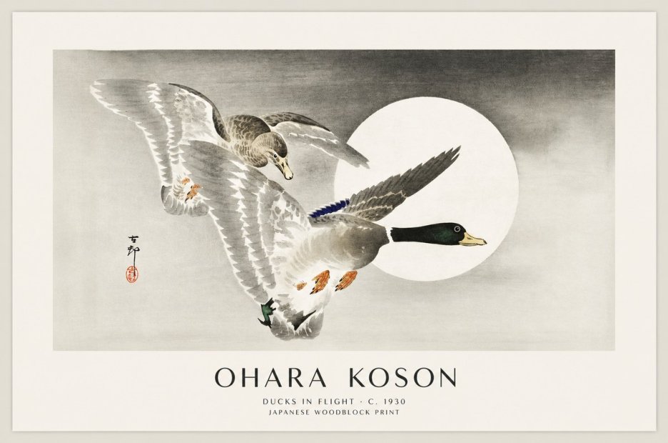 Ohara Koson Ducks in Flight No1 - Poszter