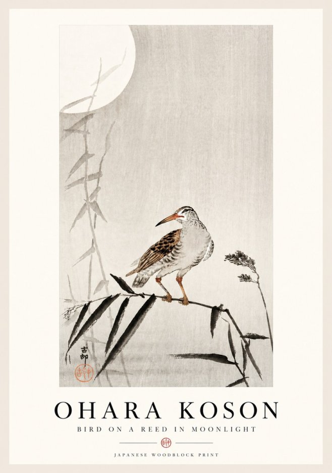 Ohara Koson Bird on a Reed in Moonlight No4 - Poszter