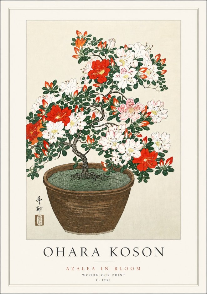 Ohara Koson Azalea in Bloom No3 - Poszter
