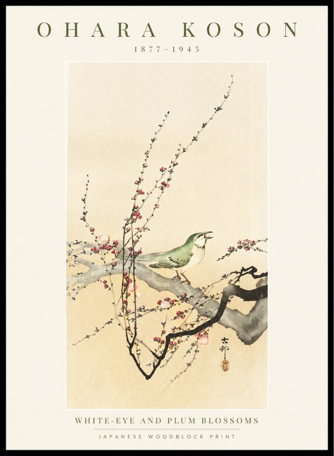 Ohara Koson White-eye and Plum Blossoms No1 - Poszter