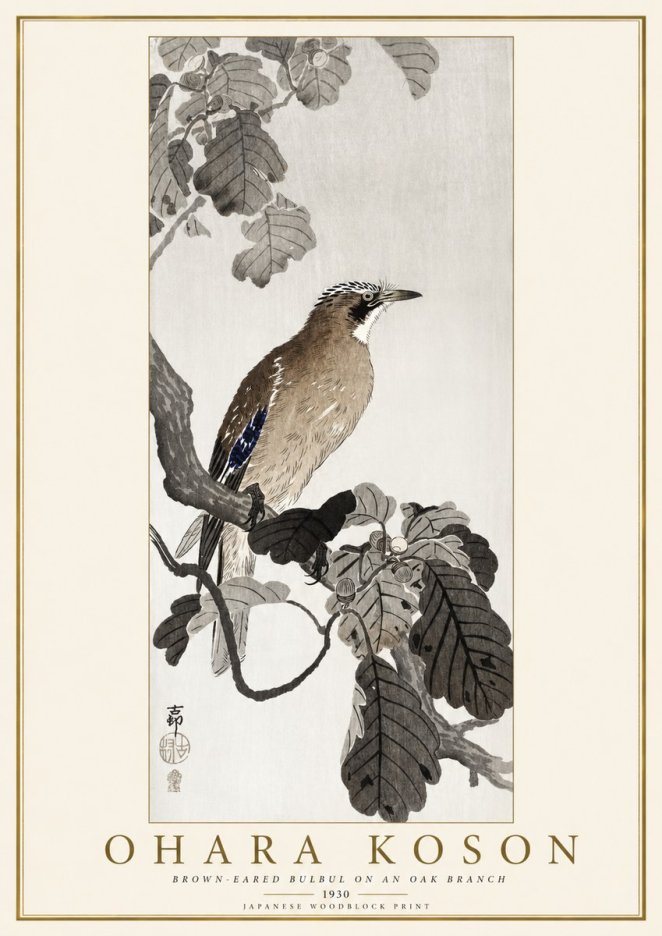 Ohara Koson Brown-eared Bulbul on an Oak Branch No1 - Poszter