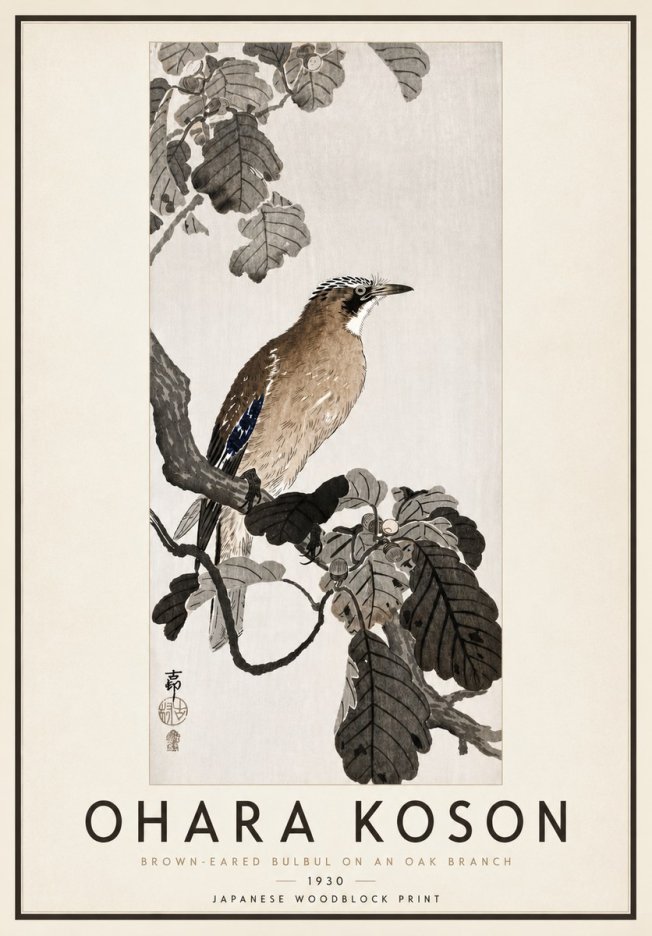 Ohara Koson Brown-eared Bulbul on an Oak Branch No4 - Poszter