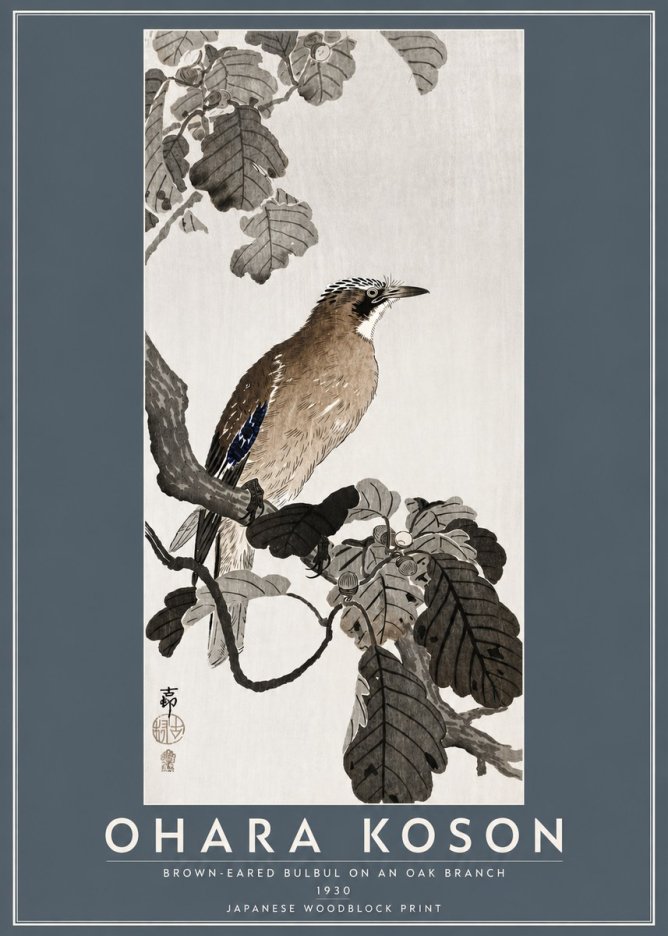 Ohara Koson Brown-eared Bulbul on an Oak Branch No5 - Poszter