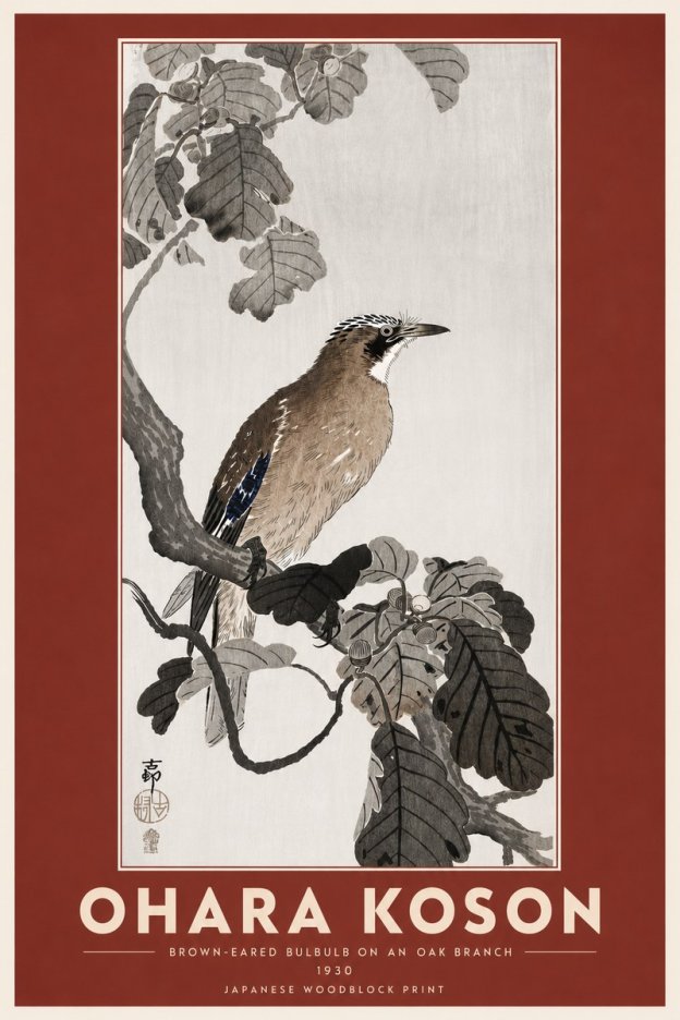 Ohara Koson Brown-eared Bulbul on an Oak Branch No6 - Poszter