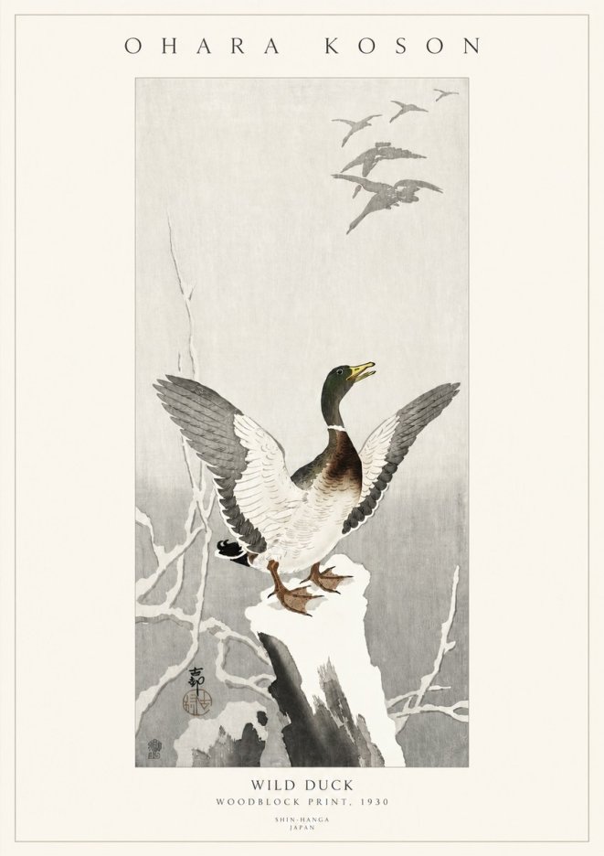 Ohara Koson Wild Duck No3 - Poszter