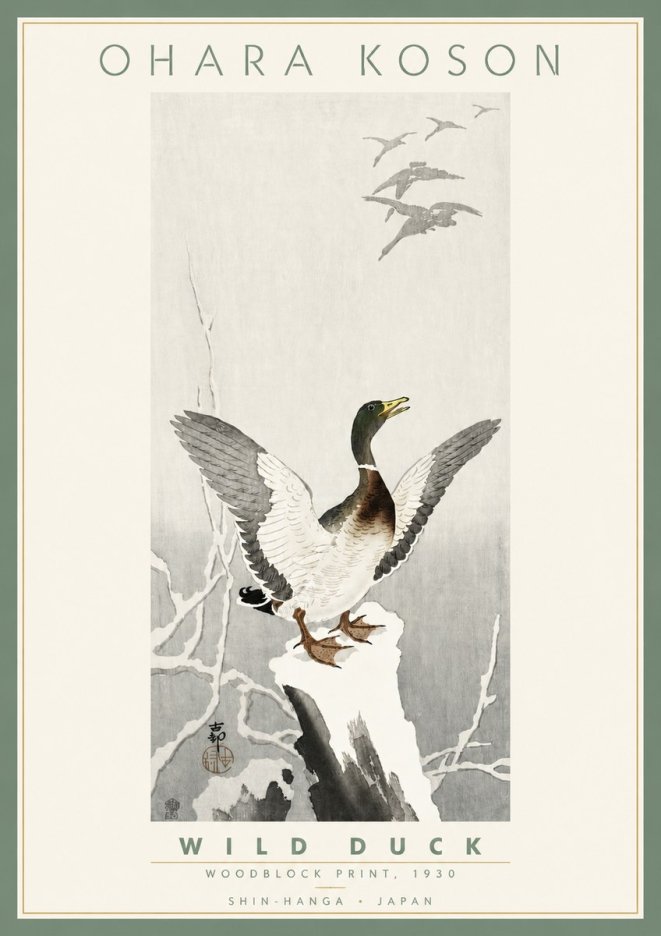 Ohara Koson Wild Duck No4 - Poszter