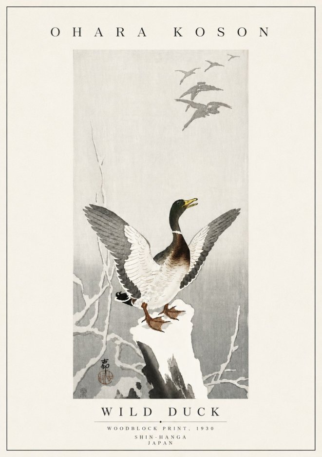 Ohara Koson Wild Duck No5 - Poszter