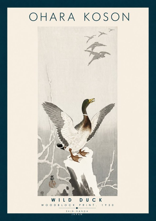 Ohara Koson Wild Duck No6 - Poszter