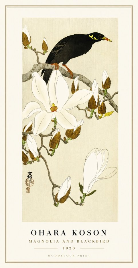 Ohara Koson Magnolia and Blackbird No1 - Poszter