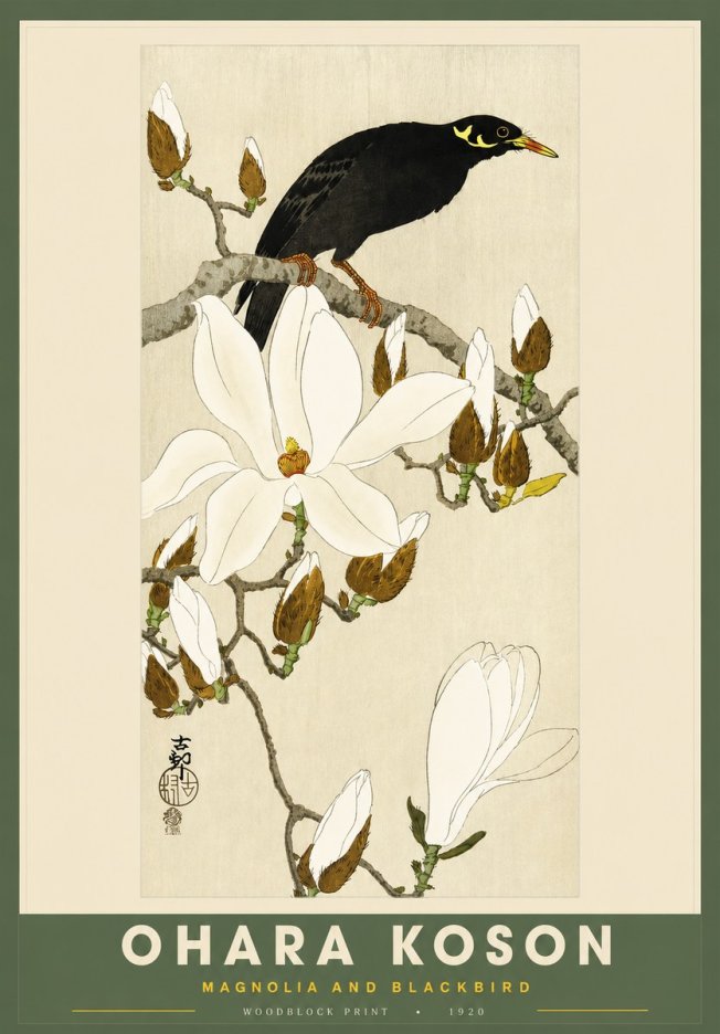 Ohara Koson Magnolia and Blackbird No2 - Poszter