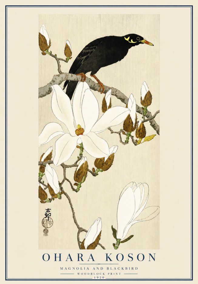 Ohara Koson Magnolia and Blackbird No3 - Poszter