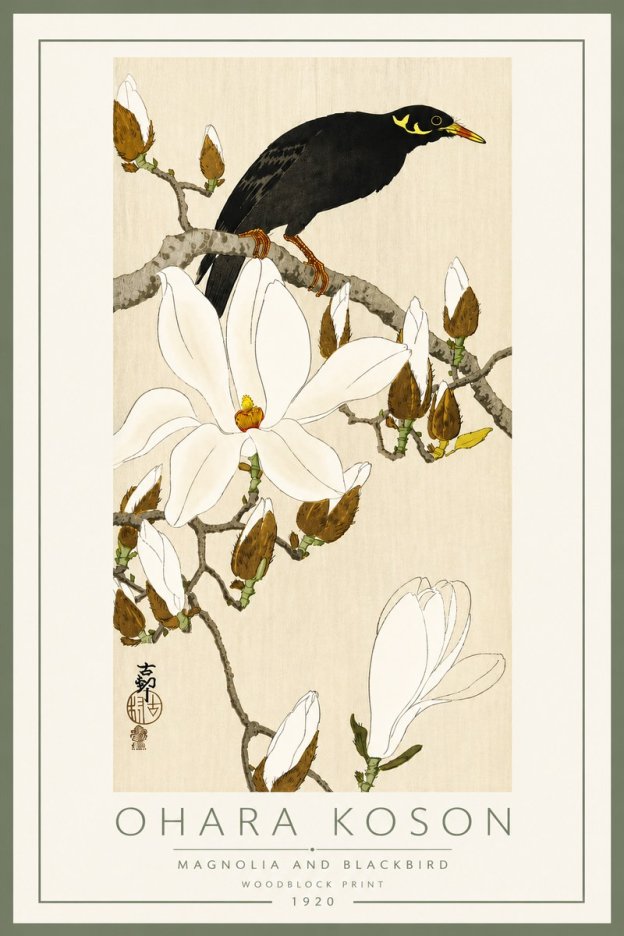 Ohara Koson Magnolia and Blackbird No5 - Poszter