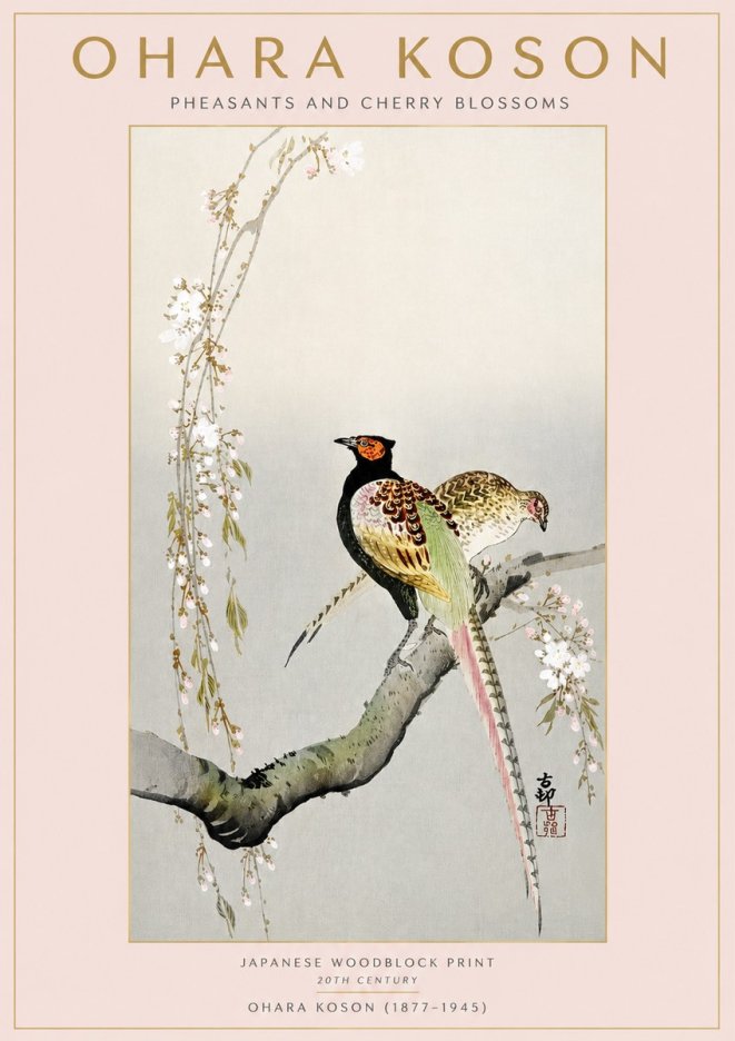 Ohara Koson Pheasants and Cherry Blossoms II No3 - Poszter